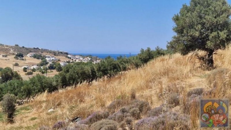 Kalamaki Süd Kreta, Kalamaki Baugrundstück mit Meerblick Grundstück kaufen